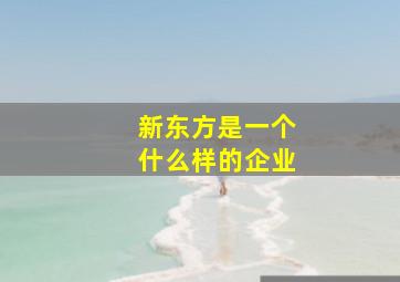 新东方是一个什么样的企业