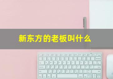 新东方的老板叫什么