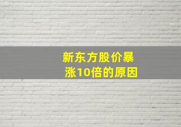 新东方股价暴涨10倍的原因