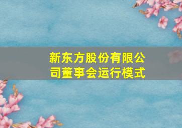 新东方股份有限公司董事会运行模式