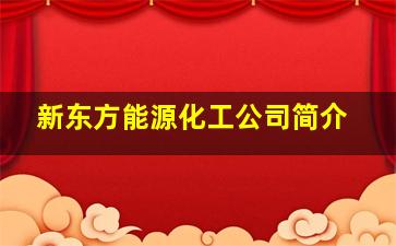 新东方能源化工公司简介