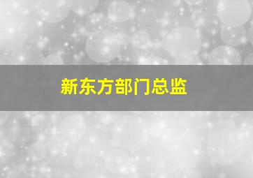 新东方部门总监