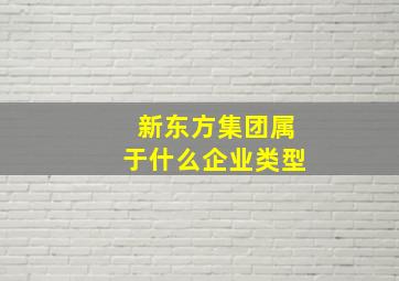 新东方集团属于什么企业类型