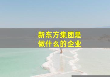 新东方集团是做什么的企业