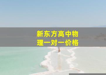 新东方高中物理一对一价格