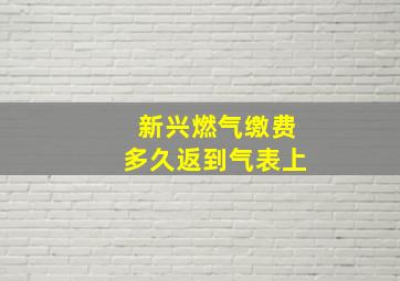 新兴燃气缴费多久返到气表上