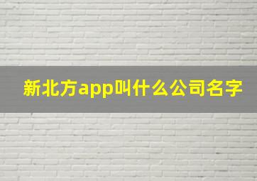 新北方app叫什么公司名字