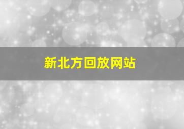 新北方回放网站