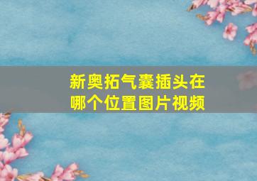 新奥拓气囊插头在哪个位置图片视频