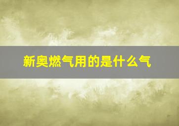 新奥燃气用的是什么气