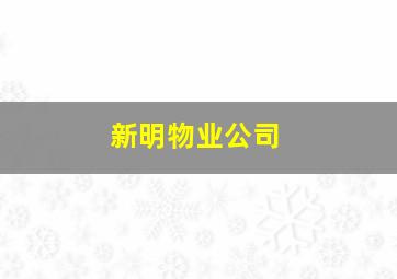 新明物业公司