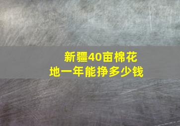 新疆40亩棉花地一年能挣多少钱