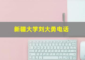 新疆大学刘大勇电话