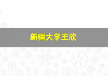 新疆大学王欣