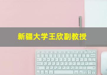 新疆大学王欣副教授