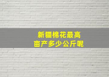 新疆棉花最高亩产多少公斤呢