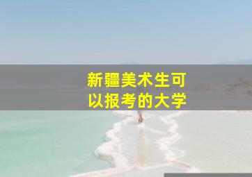 新疆美术生可以报考的大学