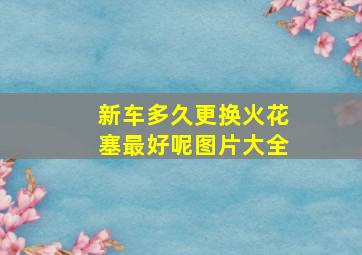 新车多久更换火花塞最好呢图片大全