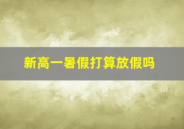 新高一暑假打算放假吗