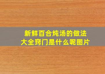 新鲜百合炖汤的做法大全窍门是什么呢图片