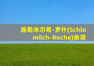 施勒米尔希-罗什(Schlomilch-Roche)余项