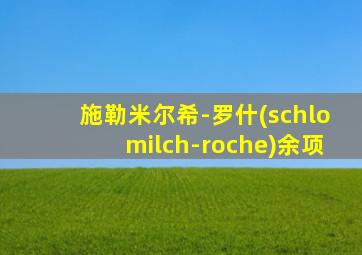 施勒米尔希-罗什(schlomilch-roche)余项