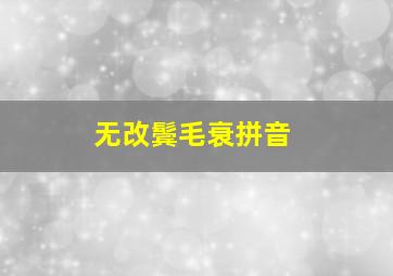 无改鬓毛衰拼音