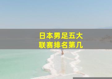 日本男足五大联赛排名第几