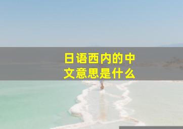 日语西内的中文意思是什么