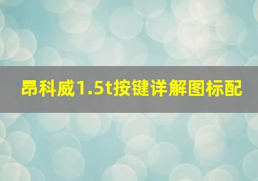 昂科威1.5t按键详解图标配