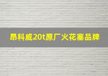 昂科威20t原厂火花塞品牌