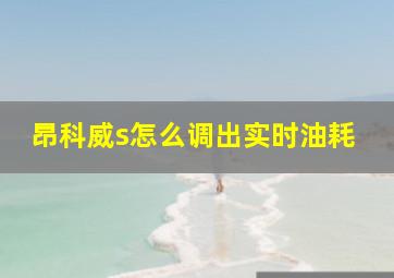 昂科威s怎么调出实时油耗