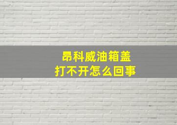 昂科威油箱盖打不开怎么回事