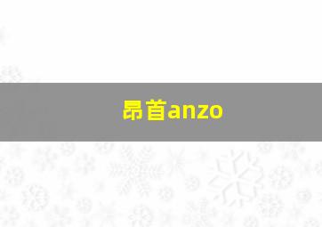 昂首anzo