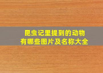 昆虫记里提到的动物有哪些图片及名称大全