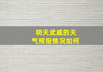 明天武威的天气预报情况如何