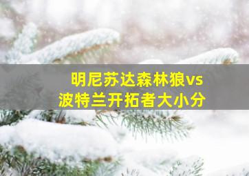 明尼苏达森林狼vs波特兰开拓者大小分