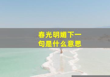 春光明媚下一句是什么意思