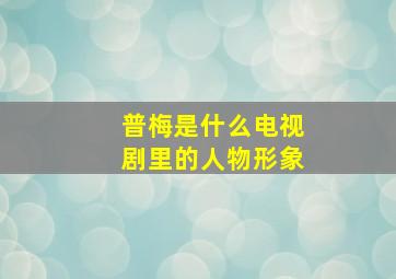 普梅是什么电视剧里的人物形象