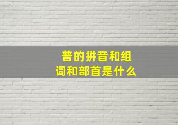 普的拼音和组词和部首是什么