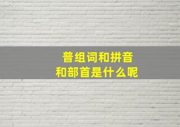 普组词和拼音和部首是什么呢