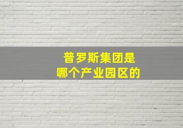 普罗斯集团是哪个产业园区的