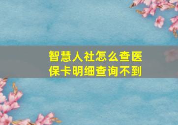 智慧人社怎么查医保卡明细查询不到