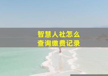 智慧人社怎么查询缴费记录