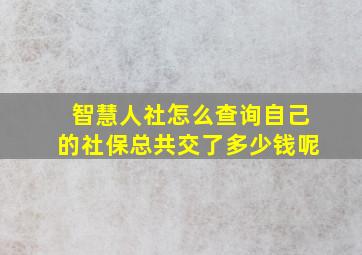 智慧人社怎么查询自己的社保总共交了多少钱呢