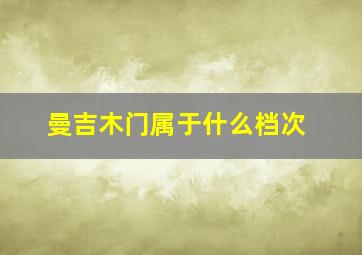 曼吉木门属于什么档次