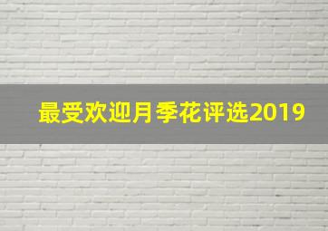 最受欢迎月季花评选2019