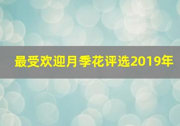 最受欢迎月季花评选2019年