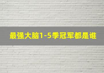 最强大脑1-5季冠军都是谁