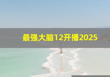 最强大脑12开播2025